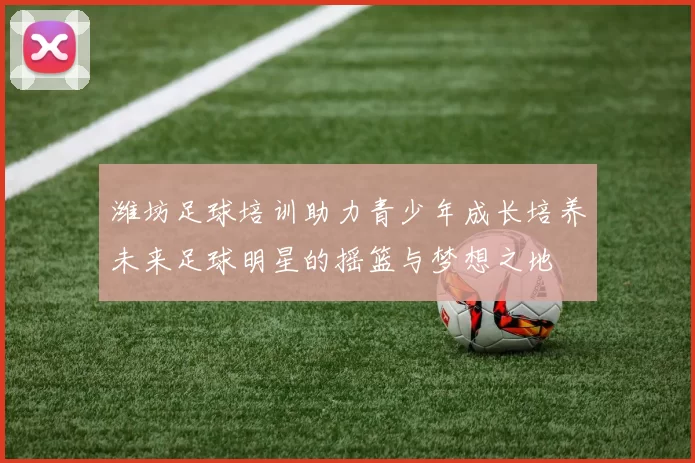 潍坊足球培训助力青少年成长培养未来足球明星的摇篮与梦想之地