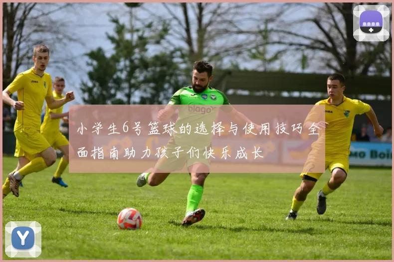 小学生6号篮球的选择与使用技巧全面指南助力孩子们快乐成长