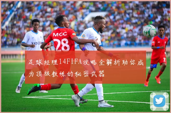 足球经理14FIFA攻略全解析助你成为顶级教练的秘密武器