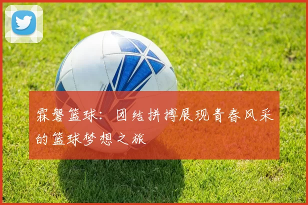 霖磐篮球：团结拼搏展现青春风采的篮球梦想之旅