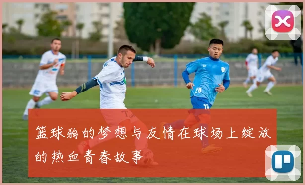 篮球狗的梦想与友情在球场上绽放的热血青春故事